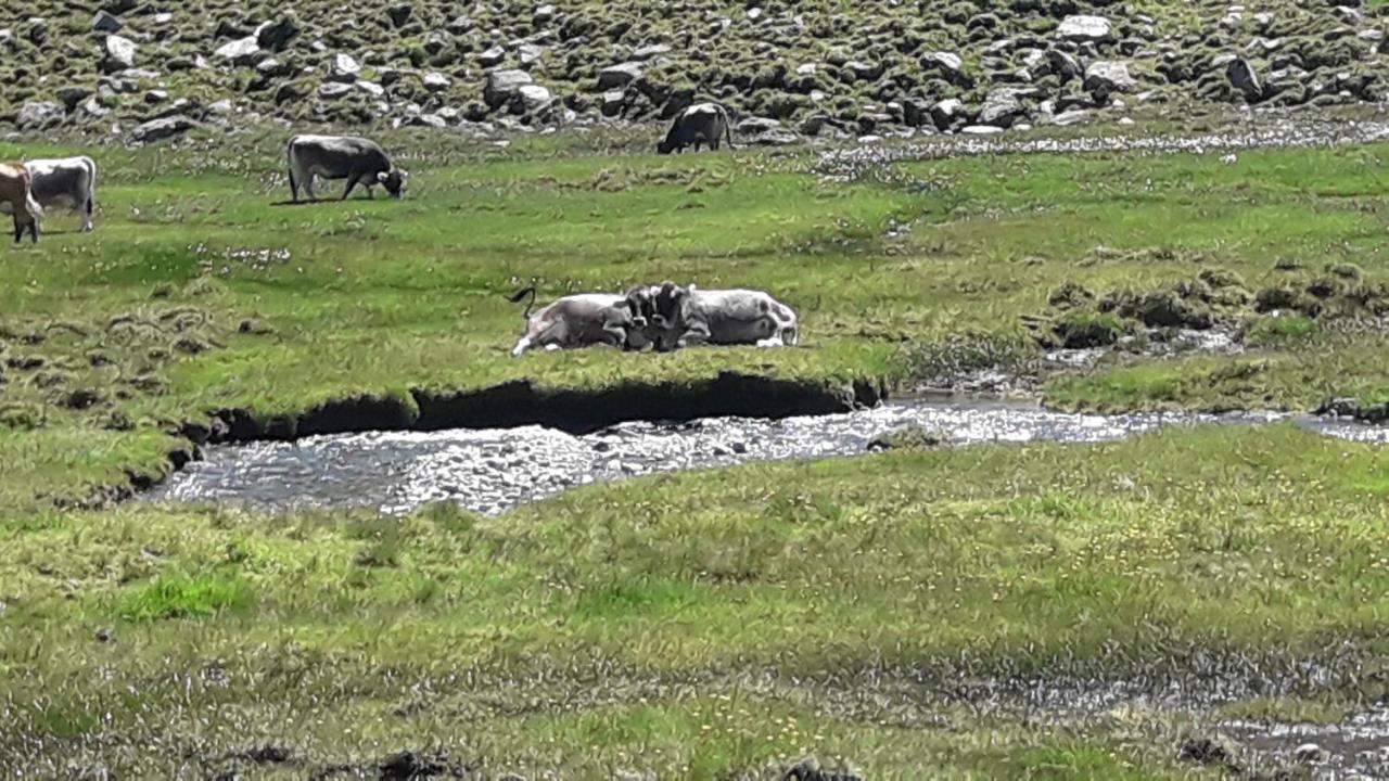 Haus Am Rechten Fleck Kaunertal Eksteriør billede