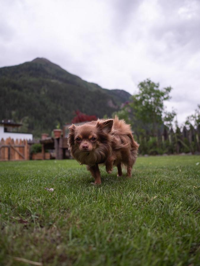 Haus Am Rechten Fleck Kaunertal Eksteriør billede